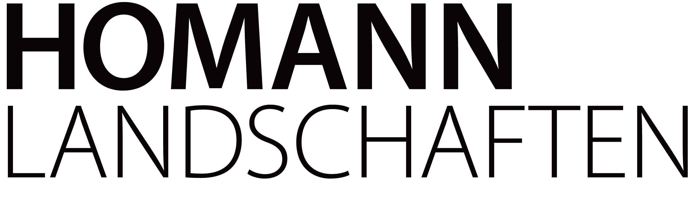 Dennis Homann logo