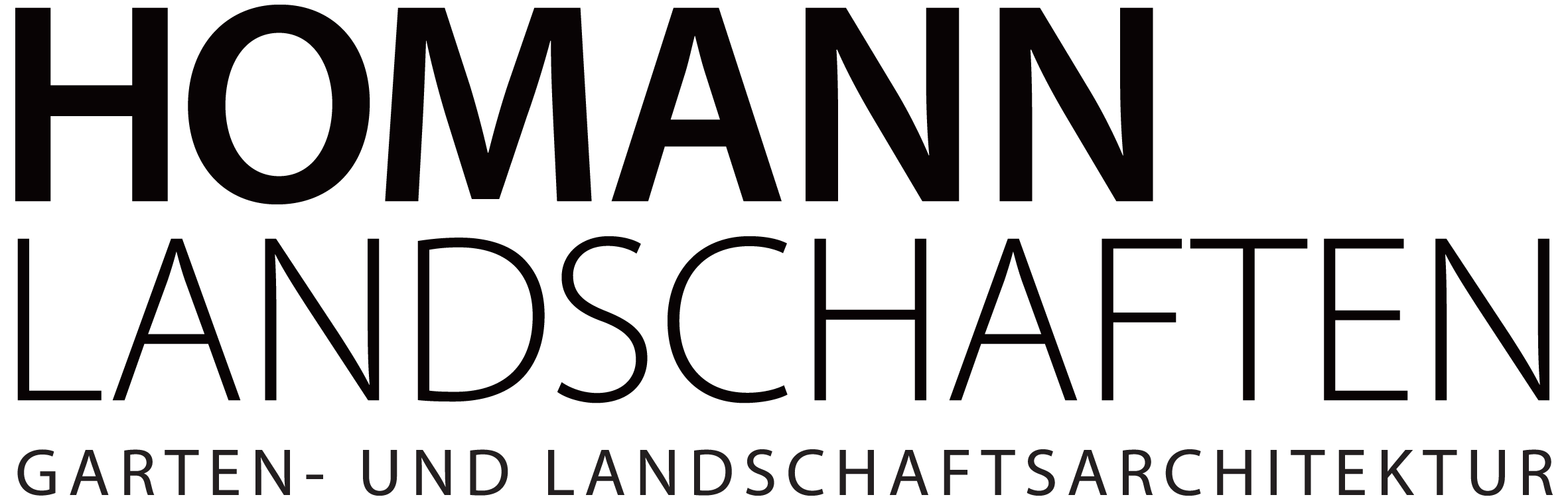 Dennis Homann logo