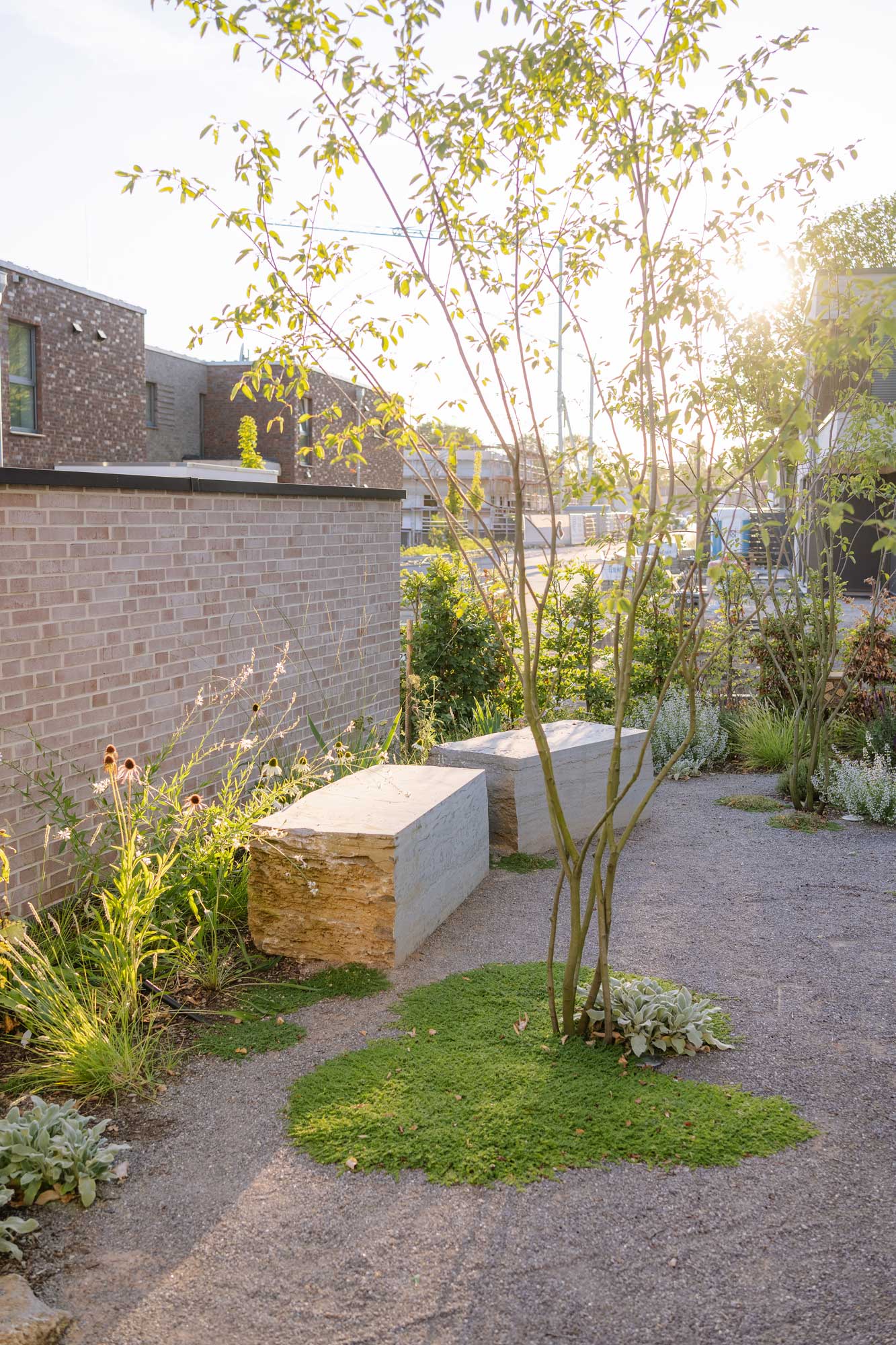 Homann Landschaften Garten- und Landschaftsarchitektur felsenbirne mehrstaemmig muschelkalk sitzblock sitzstein kaffeeplatz moderne gartengestaltung herniaria