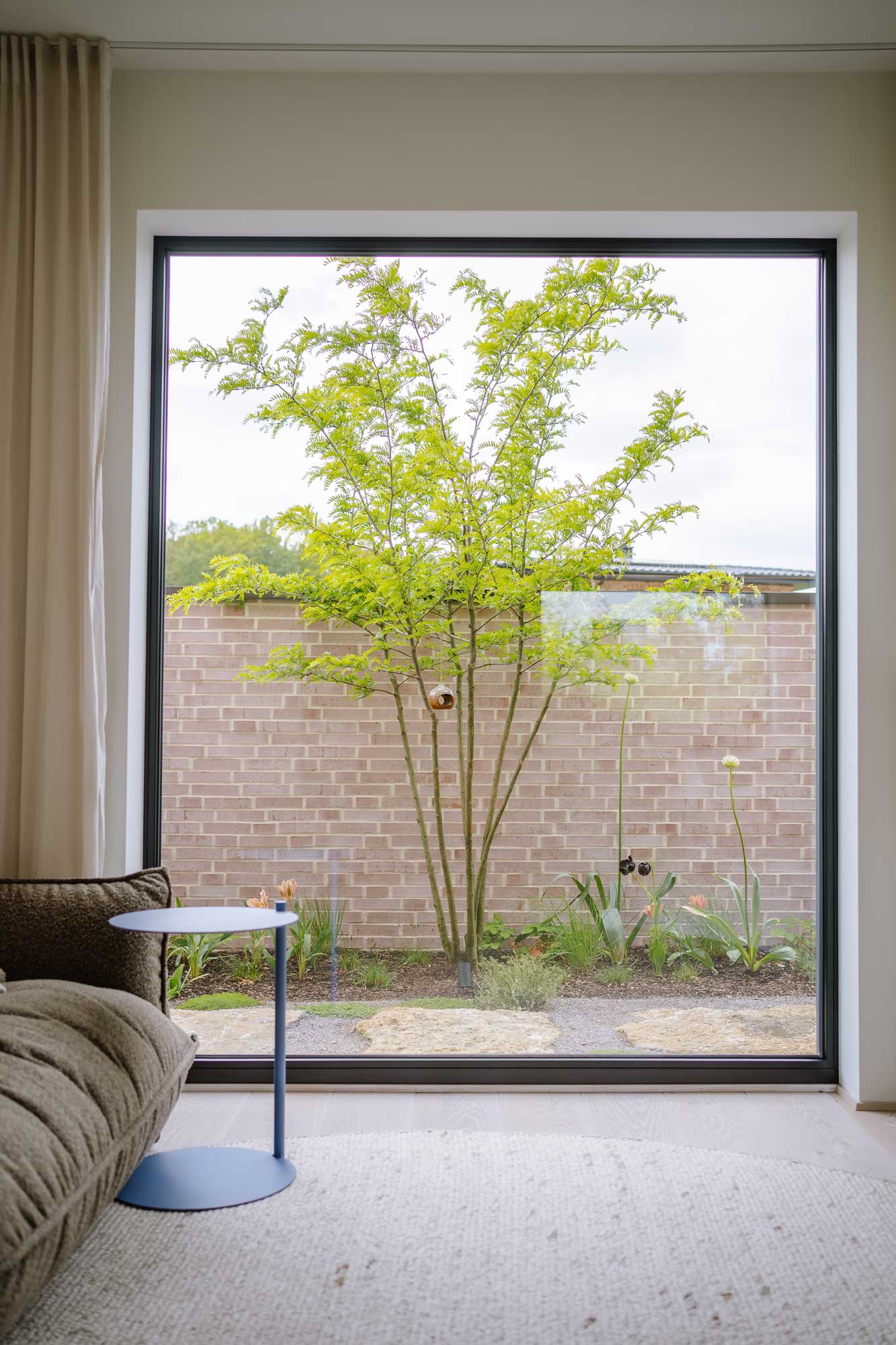 Homann Landschaften Garten- und Landschaftsarchitektur sichtbezuege solitaerbaum gleditsia gleditse wohnzimmer blickpunkt design
