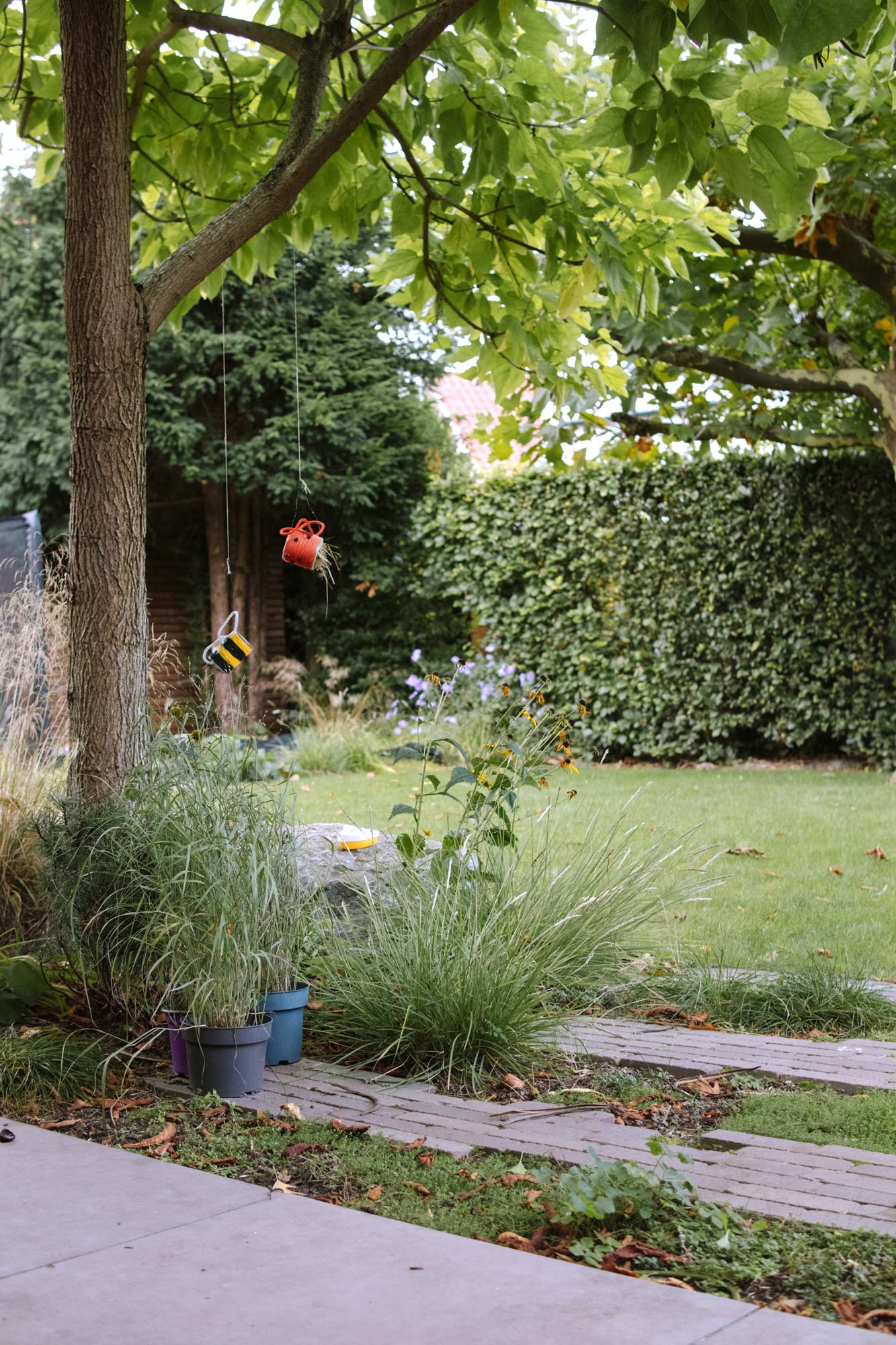 Homann-Landschaften-Garten--und-Landschaftsarchitektur-017-familiengarten-klinker-trittstufen-graeser-muschelkalk