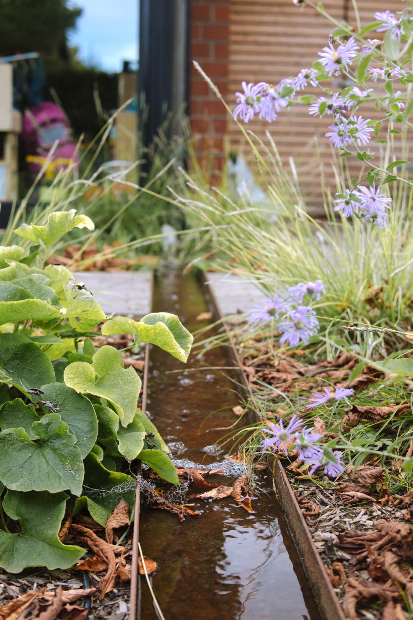 Homann Landschaften Garten  und Landschaftsarchitektur 037 regenwasser nutzen wasserrinne aster sesleria kinderspiel