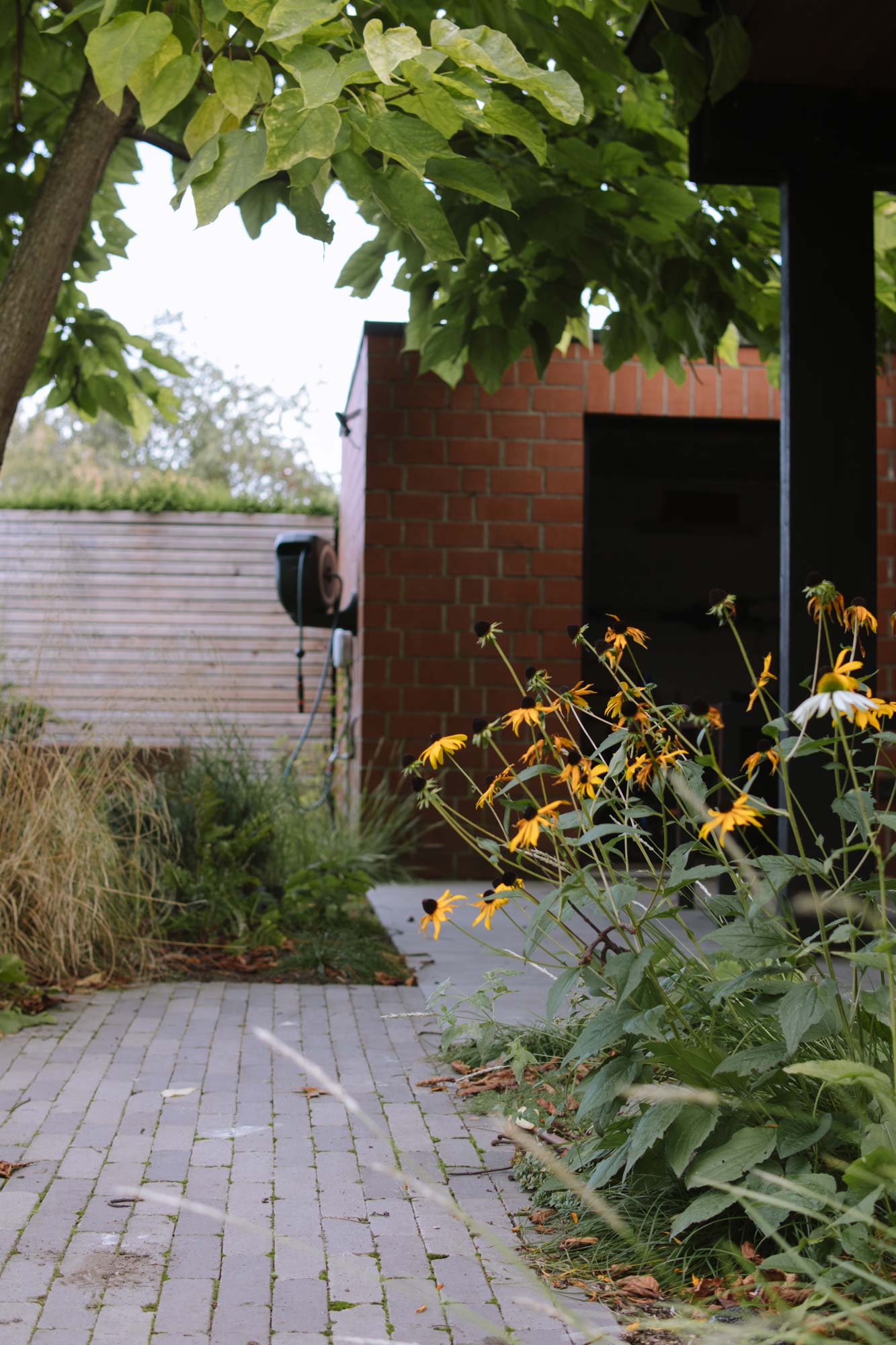 Homann-Landschaften-Garten--und-Landschaftsarchitektur-106-klinkerweg-garten-wolbeck-bestandsgarten-keramikplatten-echinacea