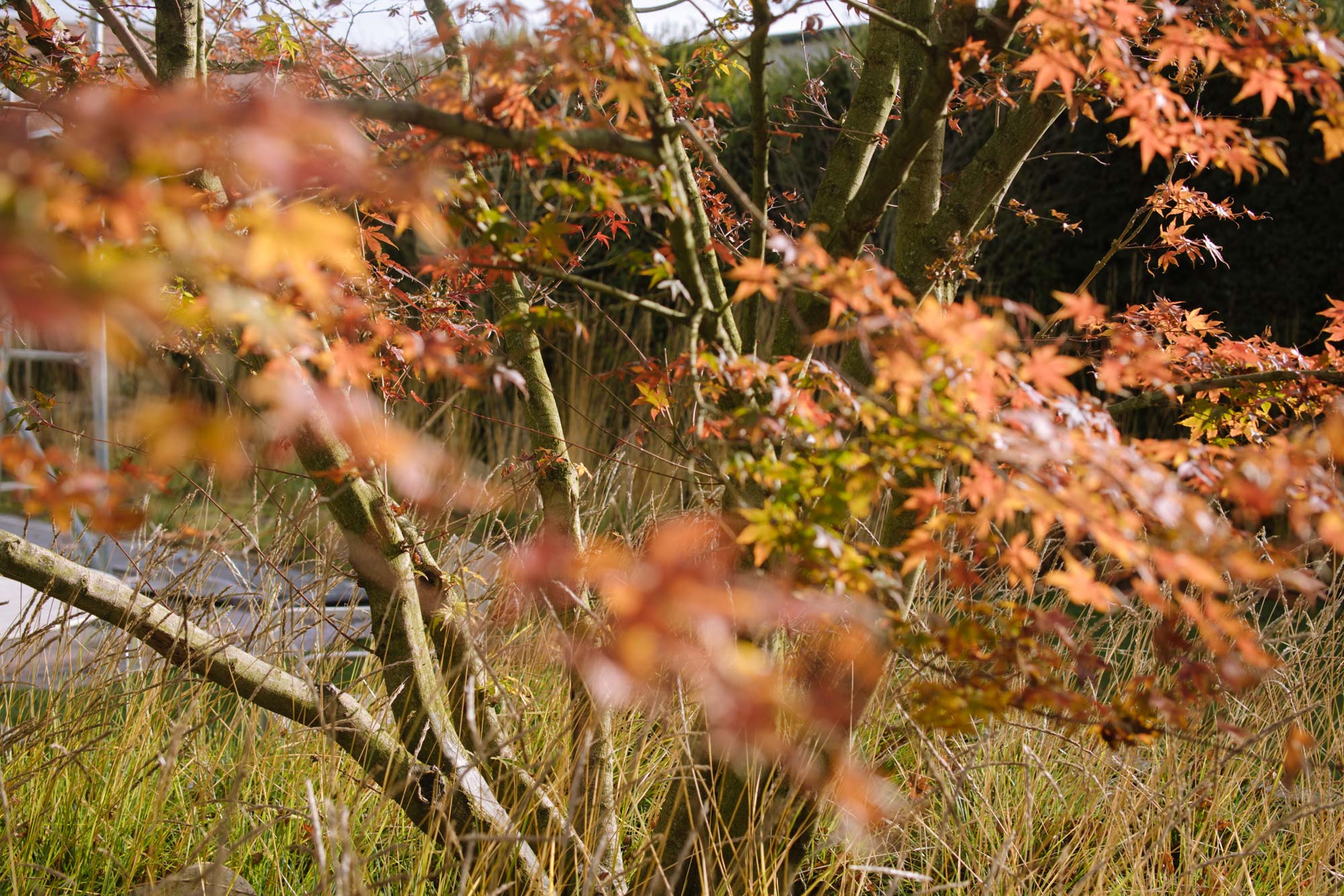 Homann Landschaften, Garten- und Landschaftsarchitektur