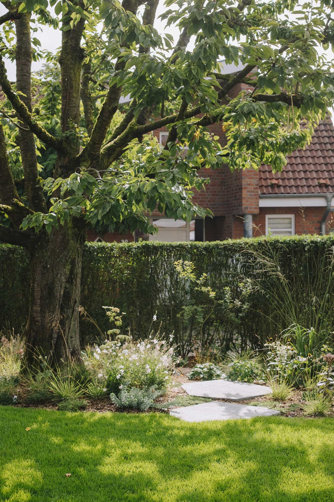 Homann Landschaften Garten- und Landschaftsarchitektur 207 planting design bepflanzungsplanung gartengestaltung kirschbaum gaura