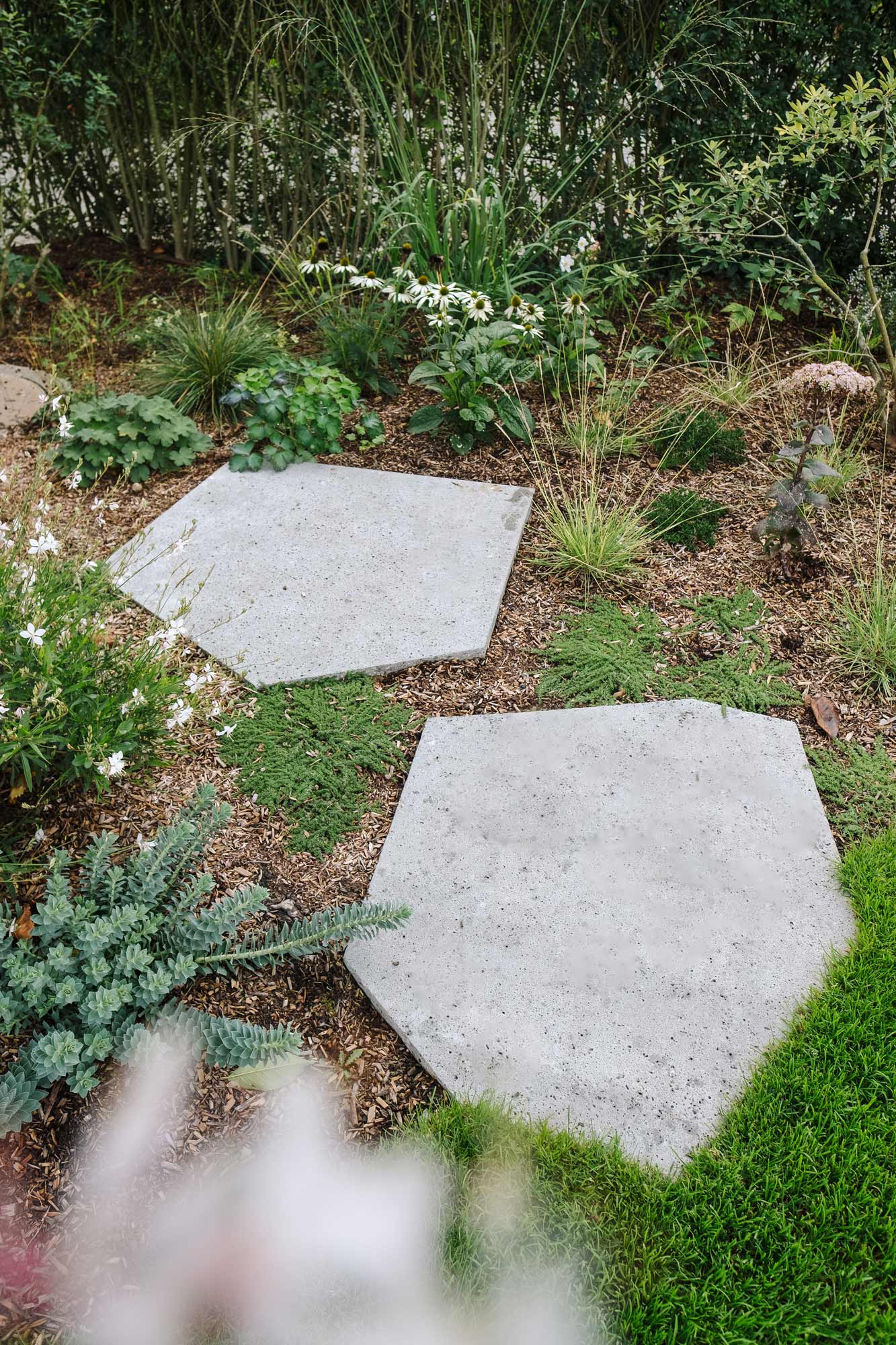 Homann-Landschaften-Garten--und-Landschaftsarchitektur-schellevis-trittplatten-polygonal-gruenfugen-euphorbia-geranium