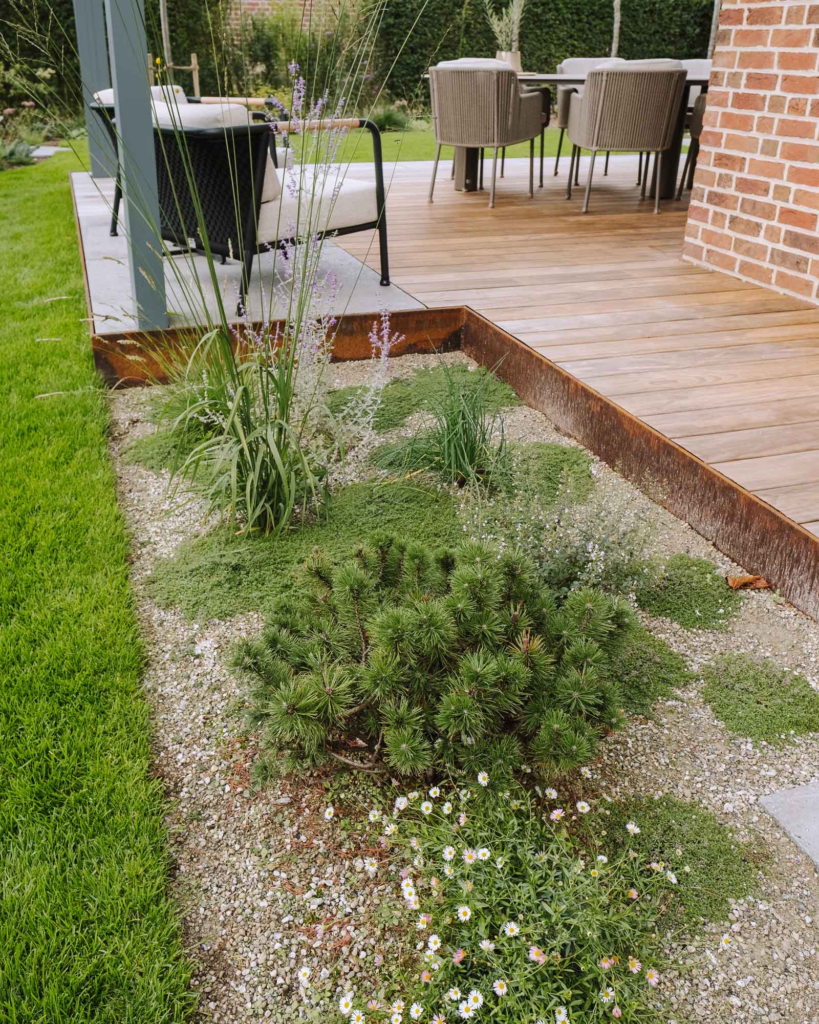 Homann-Landschaften-Garten--und-Landschaftsarchitektur-kraeuter-thymianfelder-wegedecke-cortenstahl-kebony-holzterrasse