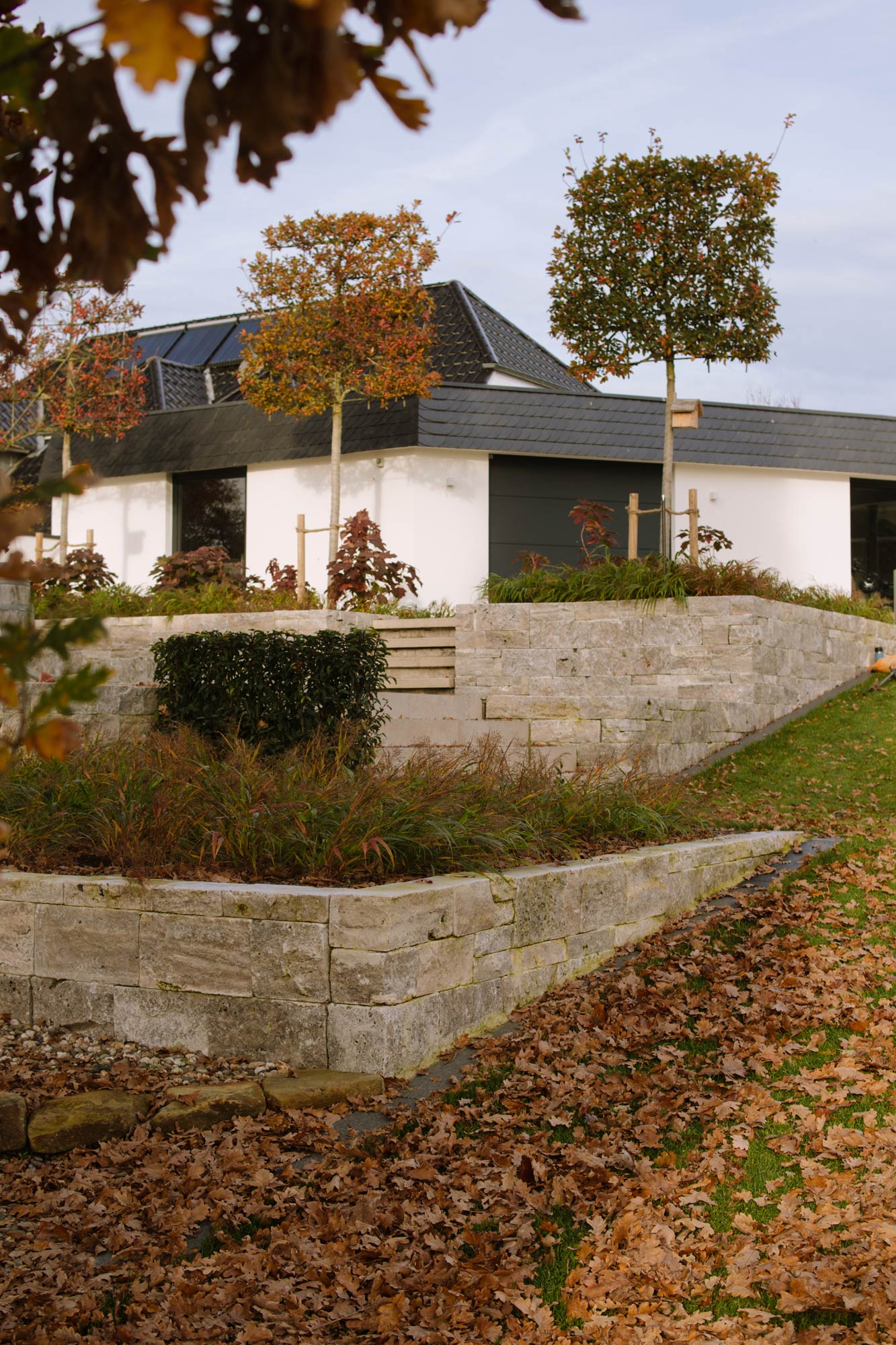 Homann Landschaften Garten- und Landschaftsarchitektur 078 hanggarten natursteinmauer spalierbaeume hakonechloa herbst design
