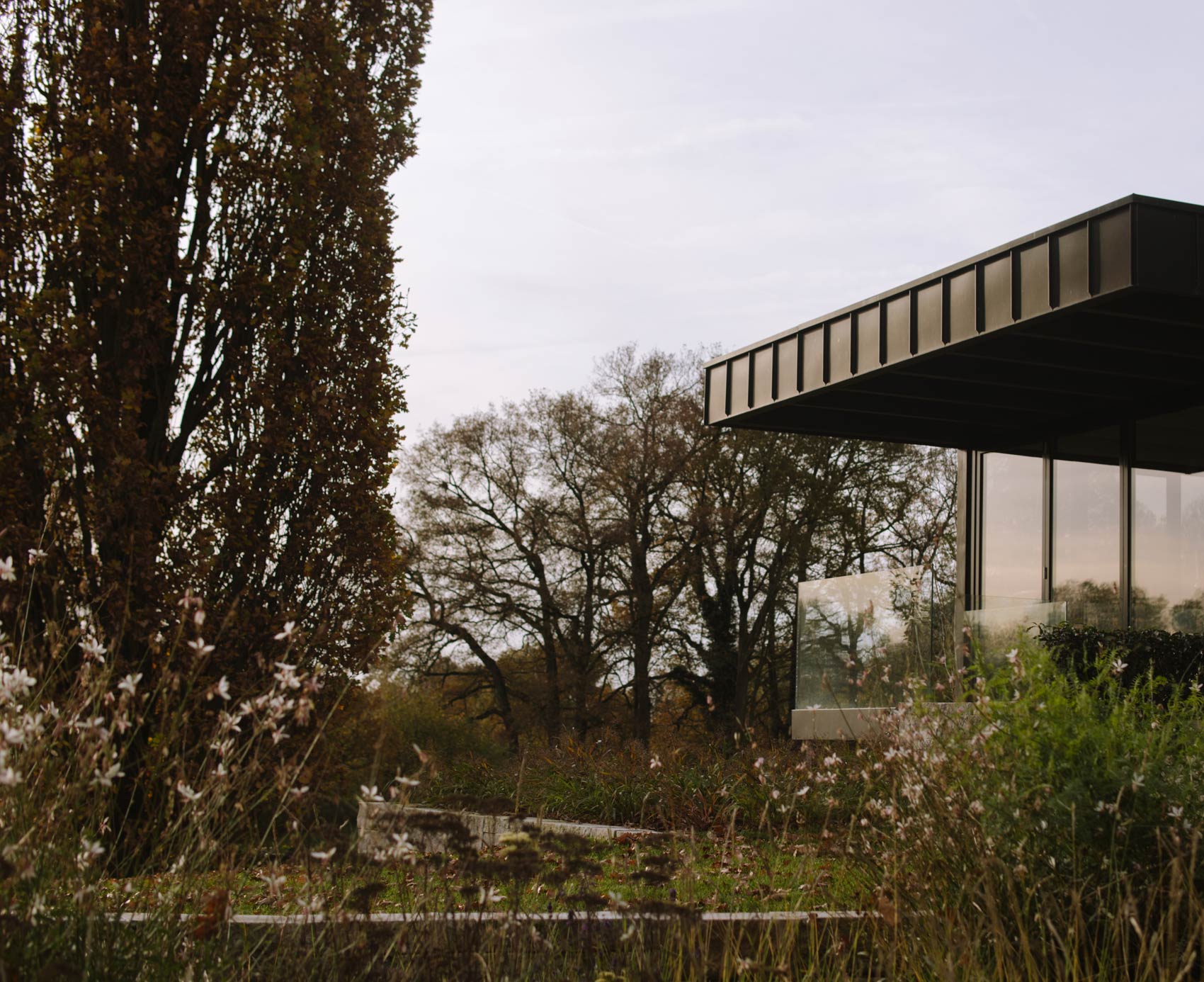 Homann-Landschaften-Garten--und-Landschaftsarchitektur-freisitz-natursteinmauern-gartenhang-landschaftsarchitektur