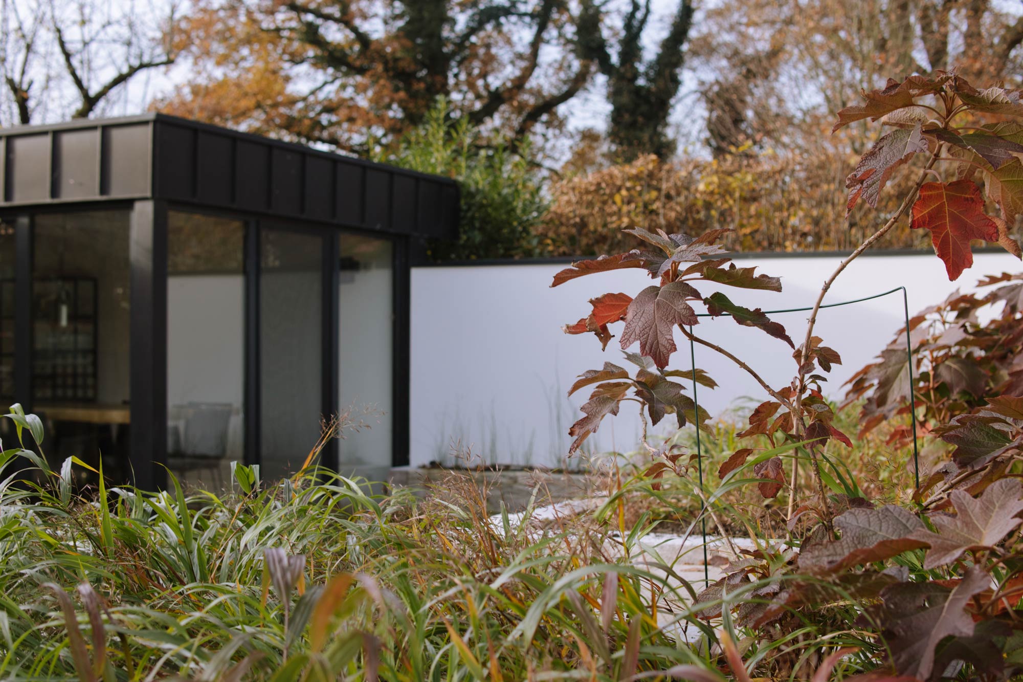 Homann-Landschaften-Garten--und-Landschaftsarchitektur-hakonechloa-equisetum-wasserbecken-hydrangea-quercifolia