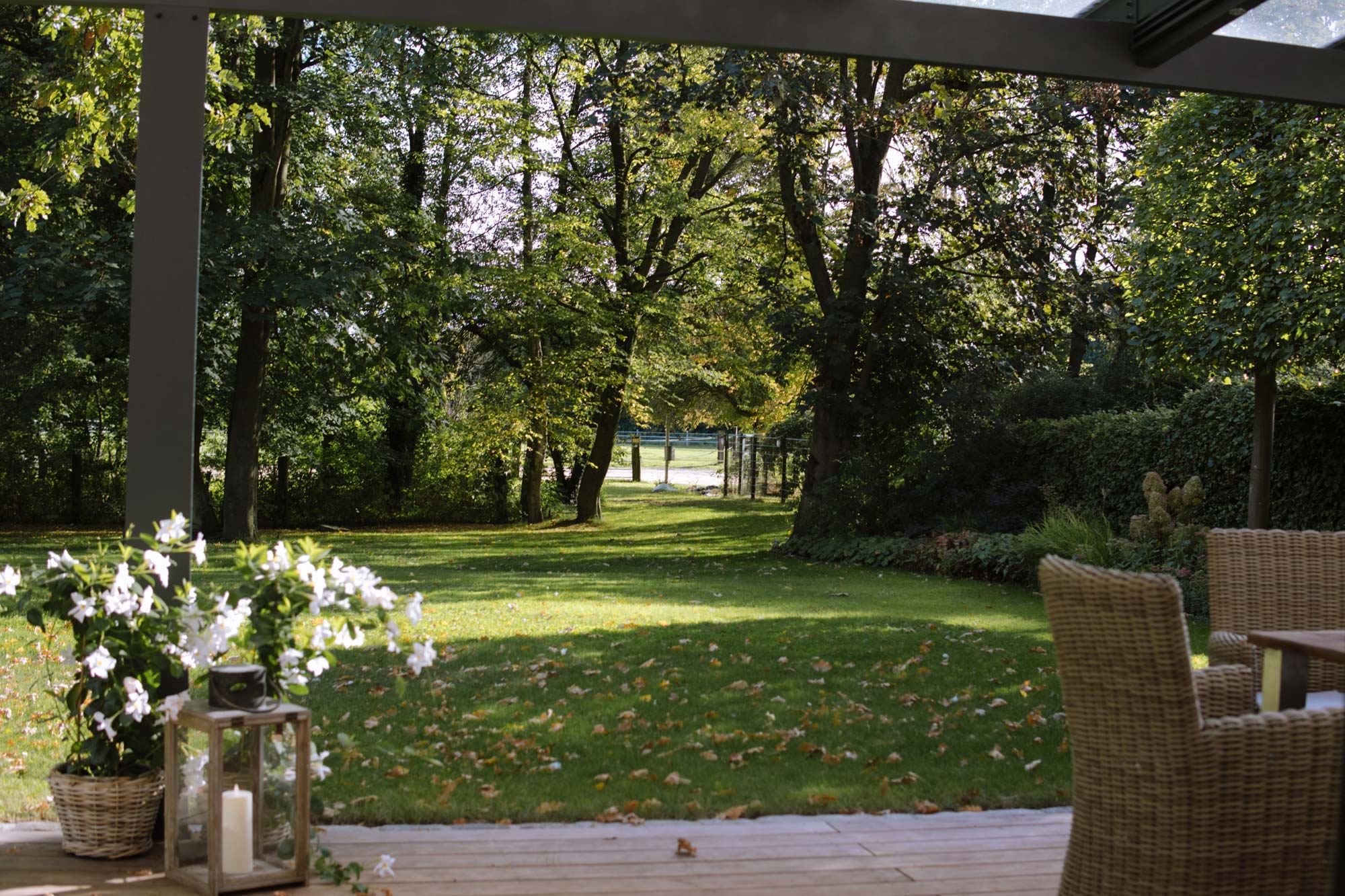Homann-Landschaften-Garten--und-Landschaftsarchitektur-gartenplan-holzterrasse-landschaftsgarten-kuebelpflanze-kebony