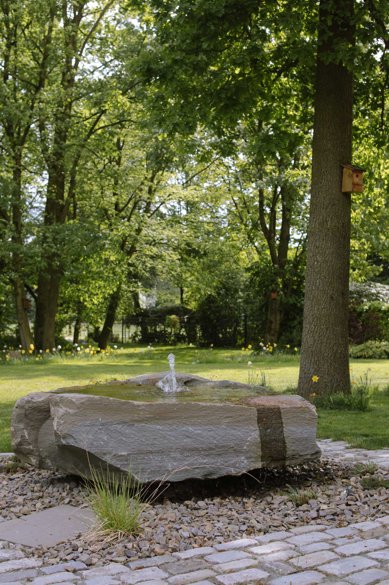 Homann-Landschaften-Garten--und-Landschaftsarchitektur-quellstein-gartenplanung-everswinkel-hof-gestaltung-gsl-sesleria-eiche