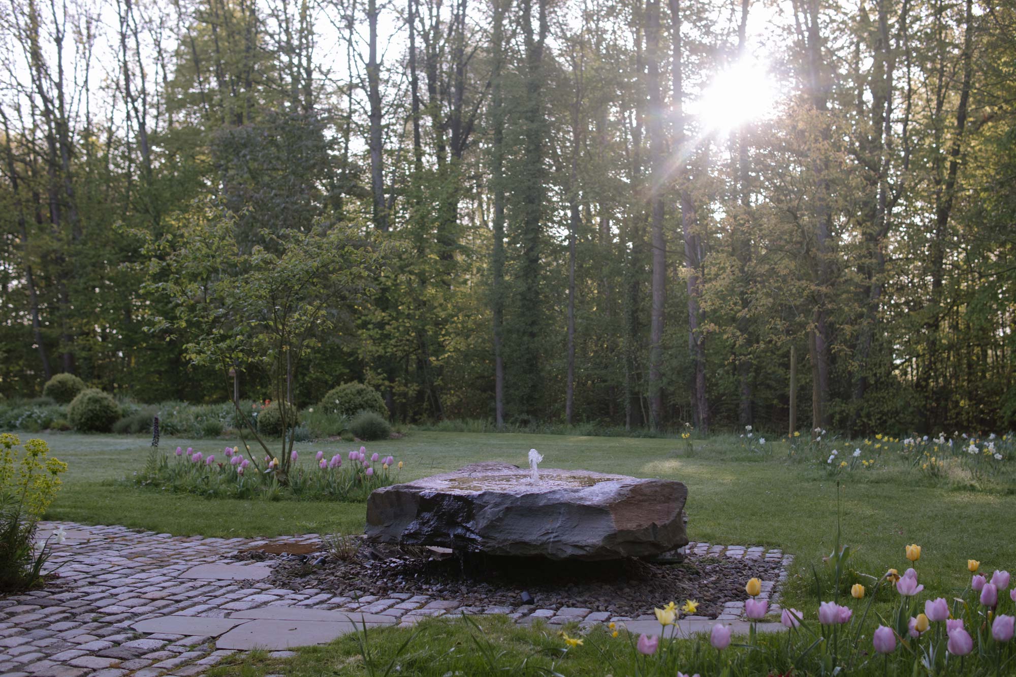 Homann-Landschaften-Garten--und-Landschaftsarchitektur-waldrand-muensterland-wasserspiel-quellstein-findling