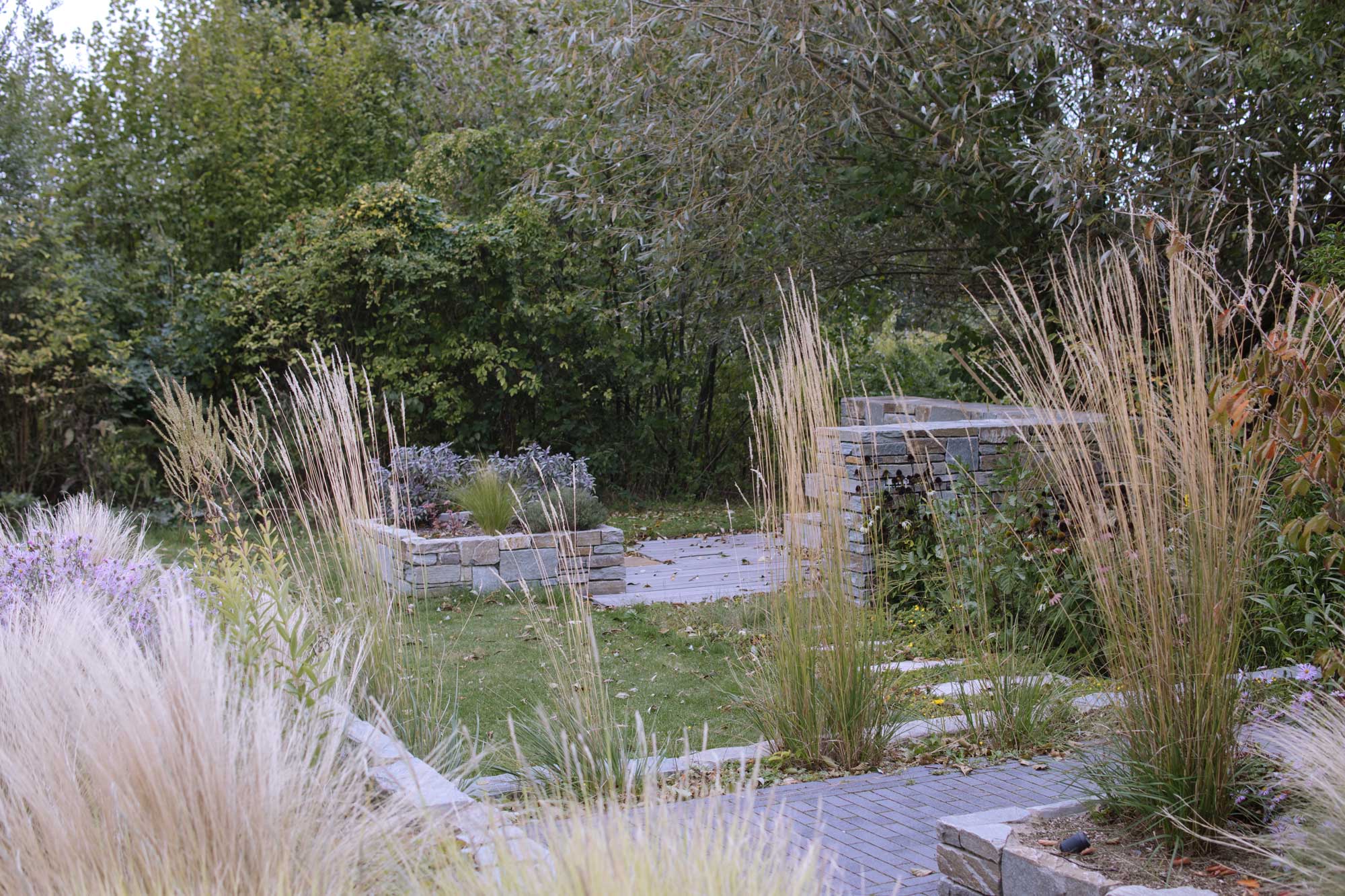 Homann-Landschaften-Garten--und-Landschaftsarchitektur-graeser-solitaestauden-calamagrostis-trittplatten-stipa-graenfugen-hamamelis