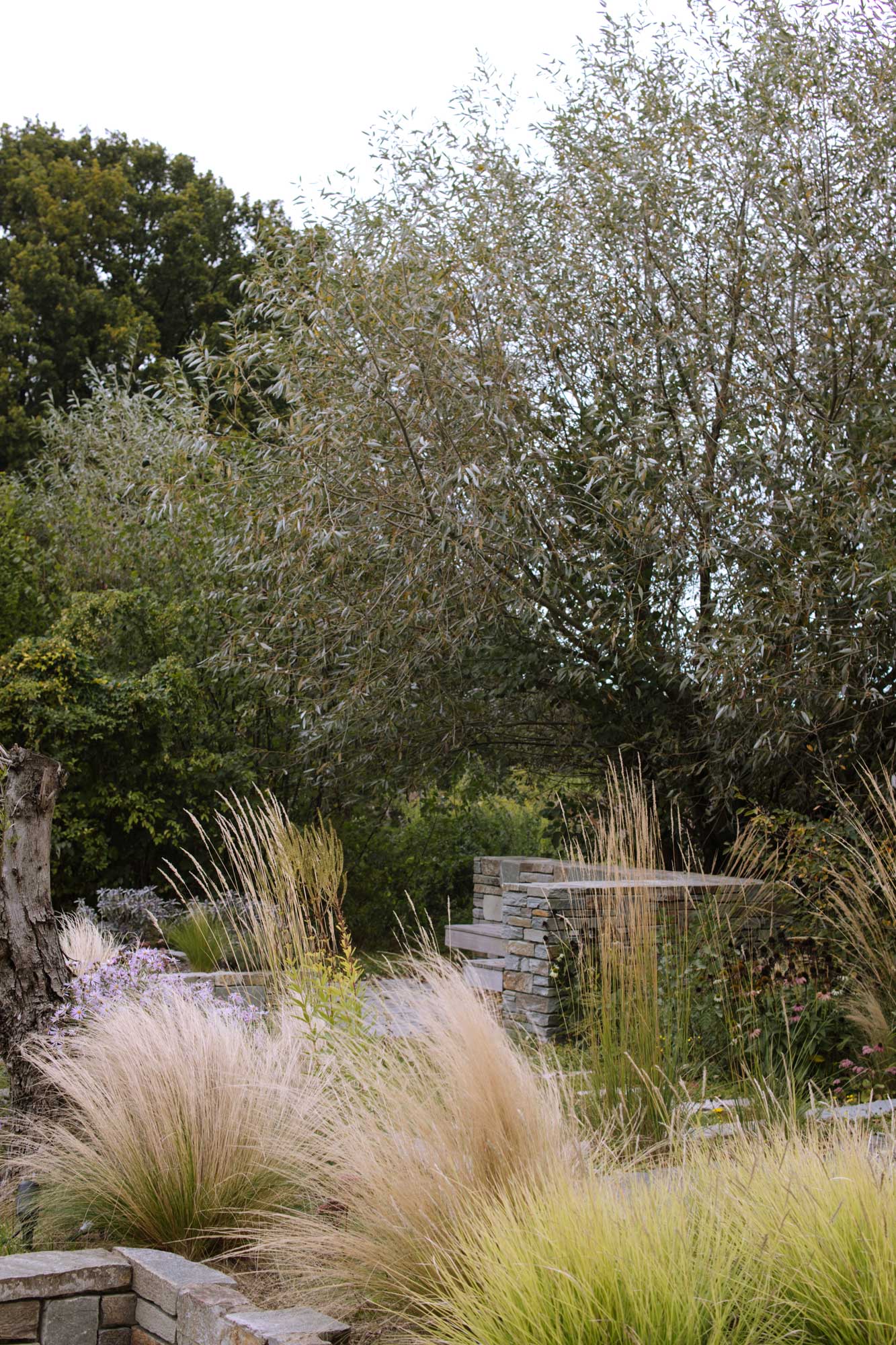 Homann-Landschaften-Garten--und-Landschaftsarchitektur-weide-landschaft-graeser-stipa-sesleria-calamagrostis-mediterran