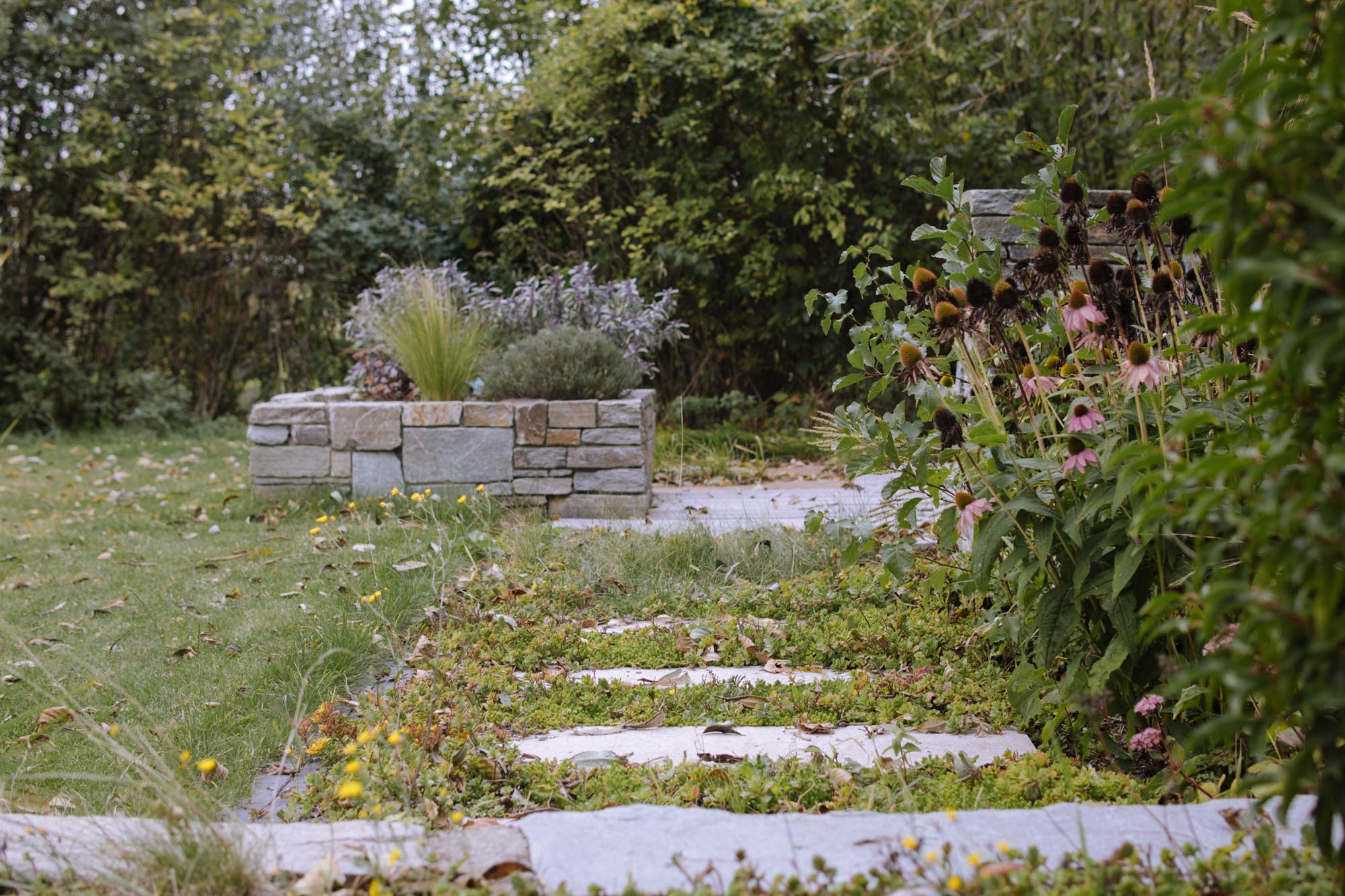 Homann-Landschaften-Garten--und-Landschaftsarchitektur-trittplatten-gruenfuge-sitzplatz-feuerstelle