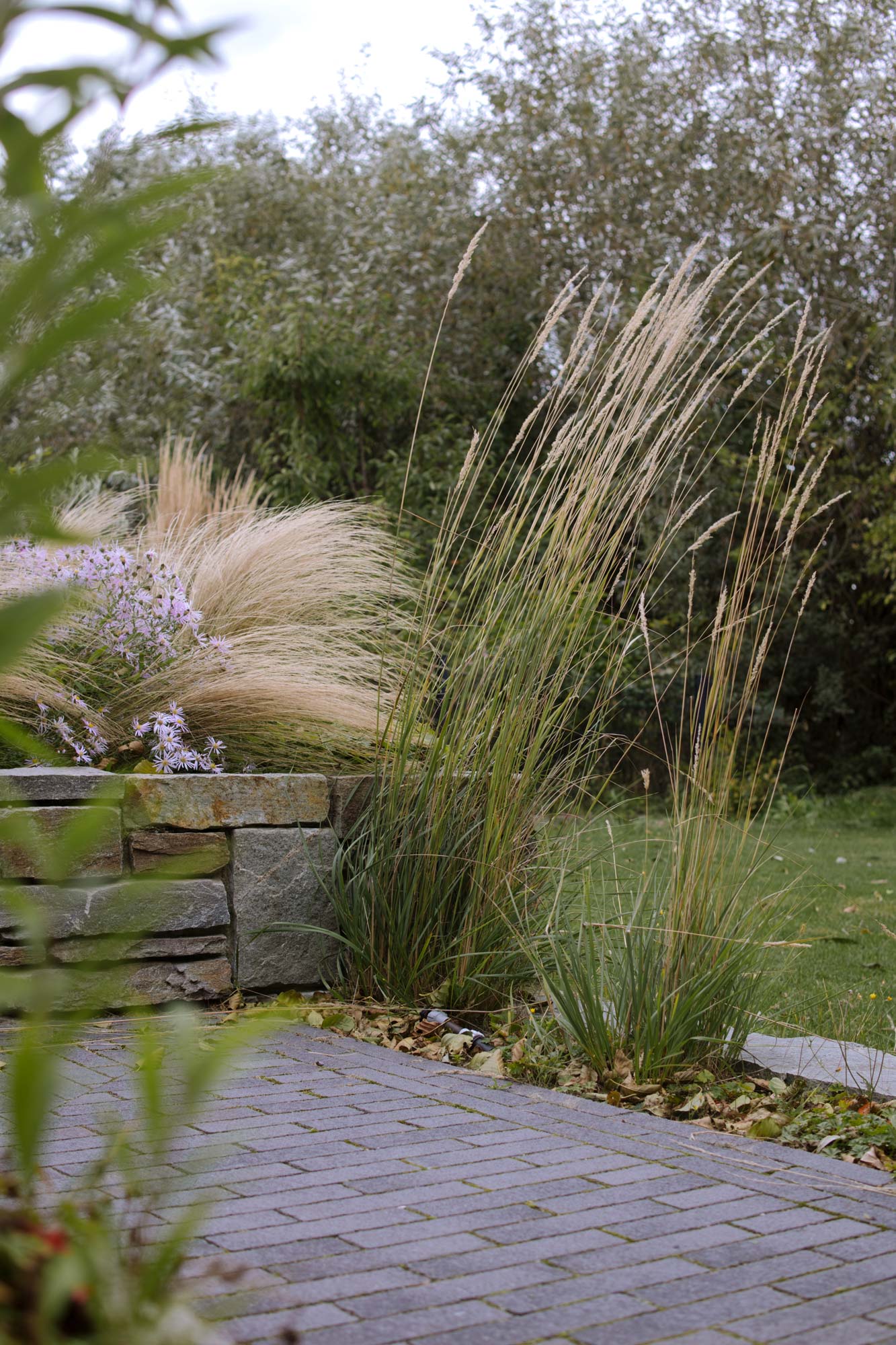 Homann-Landschaften-Garten--und-Landschaftsarchitektur-hochbeet-naturstein-staudenpflanzung-stipa-aster-calamagrostis-geranium