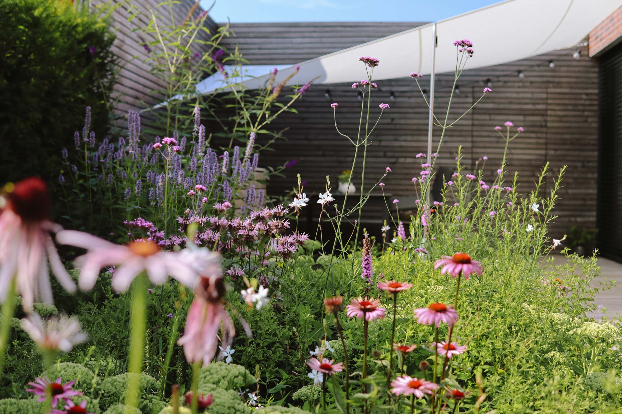 Homann Landschaften Garten  und Landschaftsarchitektur 01 gartenplanung modern bepflanzungsplanung mischpflanzung everswinkel sonnensegel sitzplatz