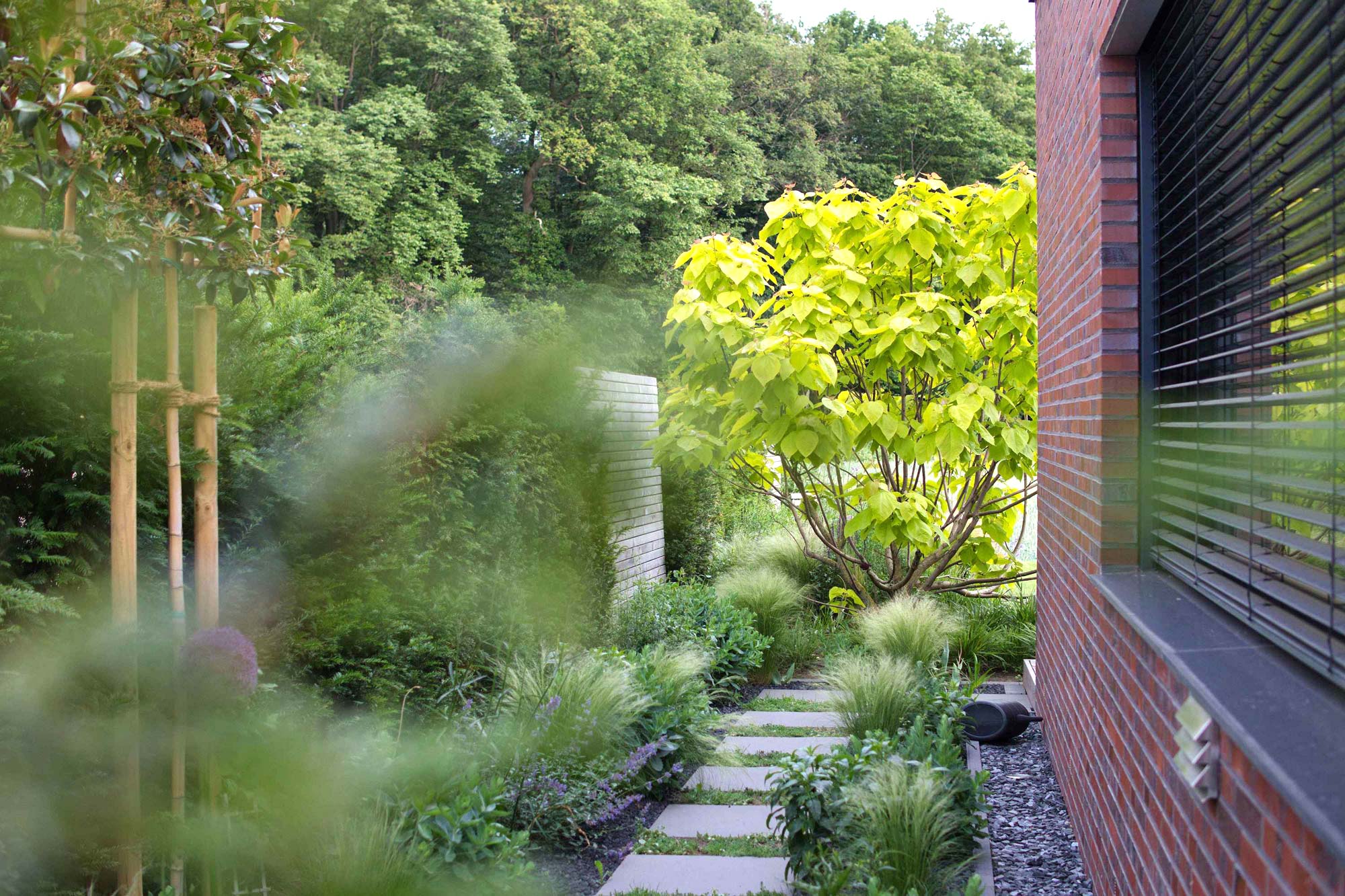 Homann Landschaften Garten  und Landschaftsarchitektur 04 gartenplanung landschaftsarchitektur haus seitenweg spalierbaum trittplatten klinker bepflanzung