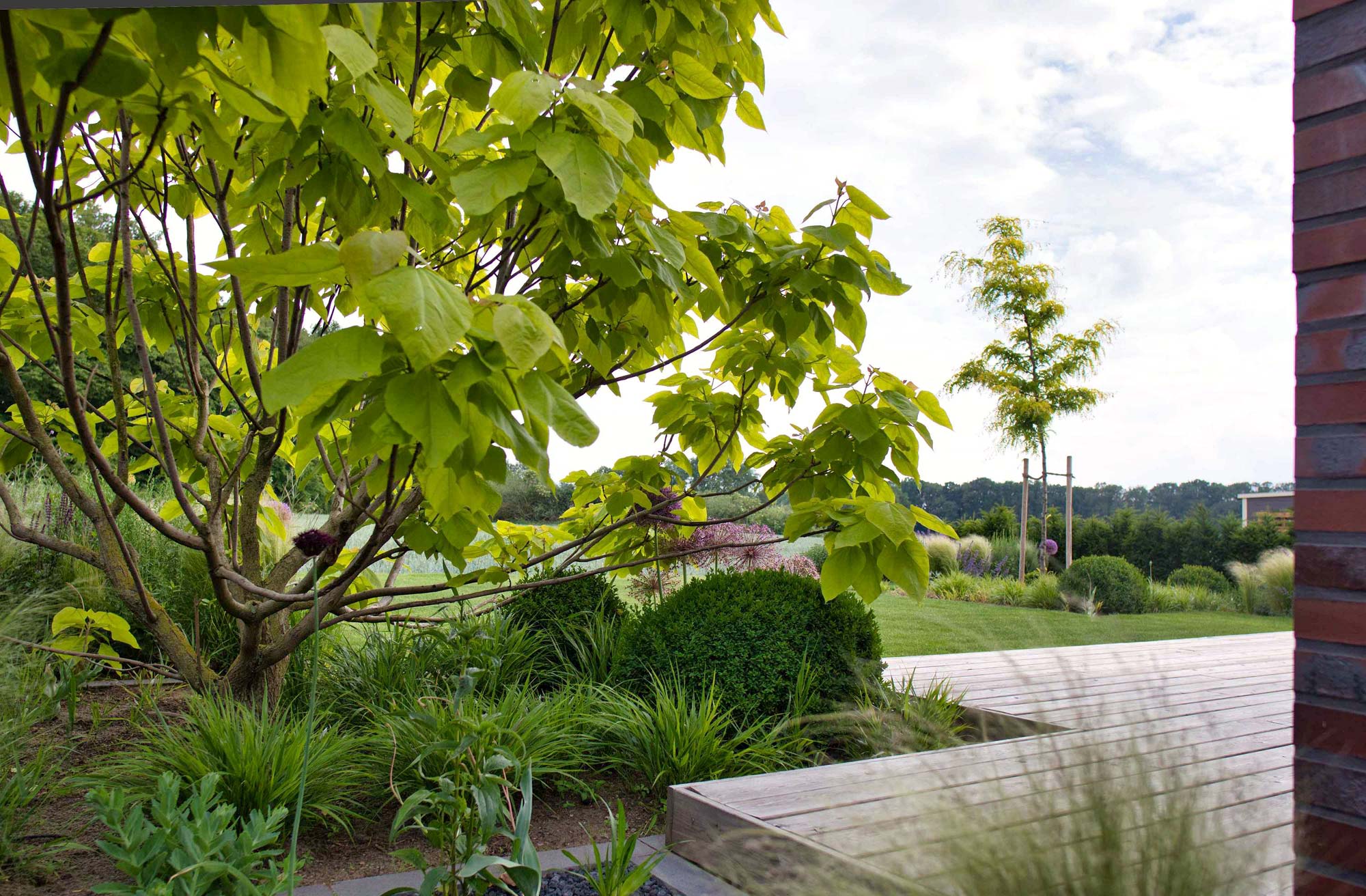 Homann Landschaften Garten  und Landschaftsarchitektur Vielfalt im Kontrast_Gartenraeume gartendesign blickpunkte grossgehoelze hakonechloa holzterrasse