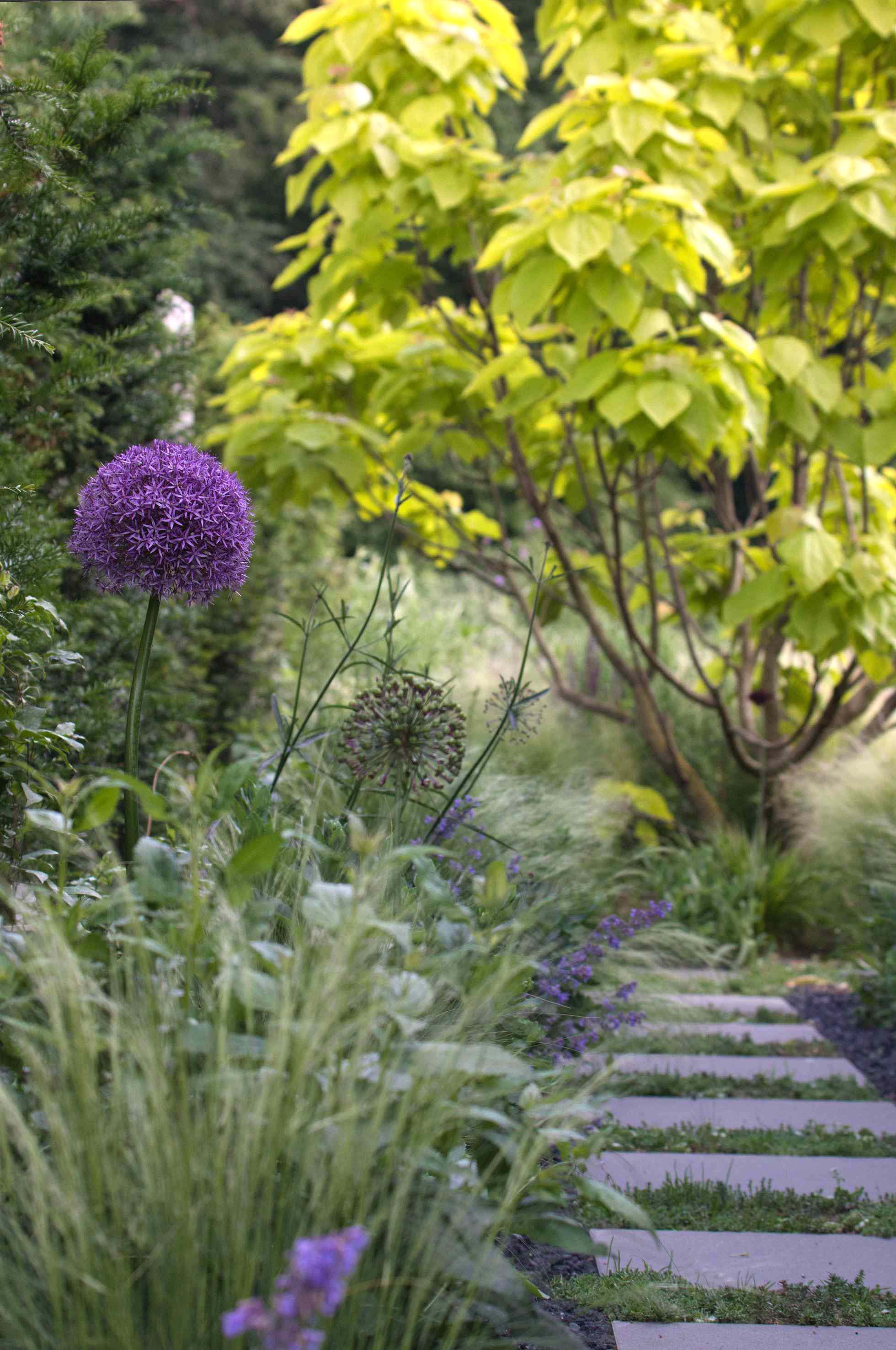 Homann Landschaften Garten- und Landschaftsarchitektur_Vielfalt im Kontrast_Gruene Fugen seiitenweg hausbau trittplatten sichtachsen gartengestaltung