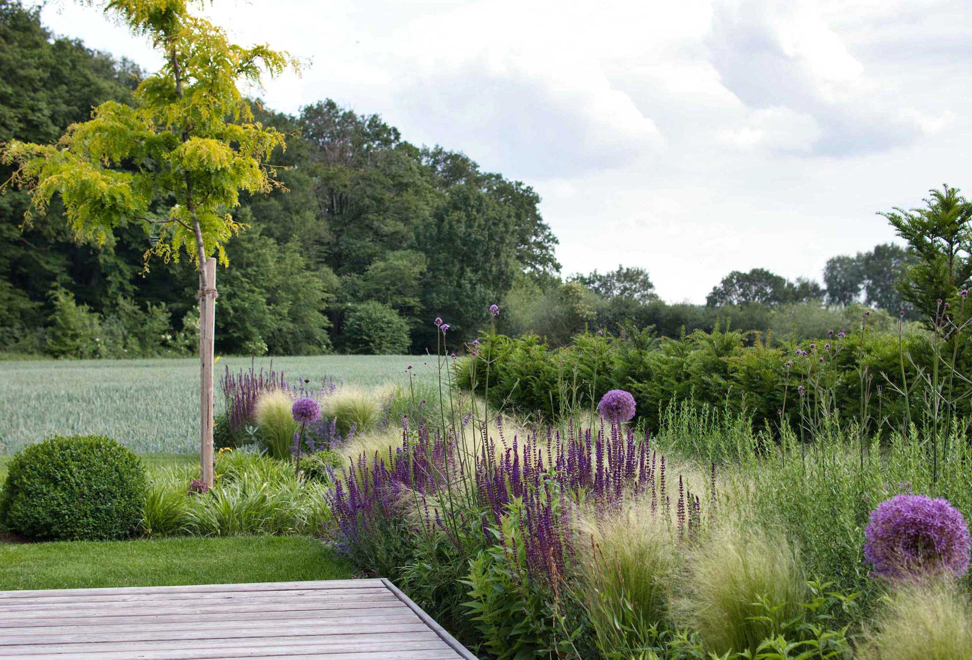 Homann Landschaften Garten  und Landschaftsarchitektur_Vielfalt im Kontrast_Sichtbezuege in die Landschaft staudenpflanzung gartengestaltung planung