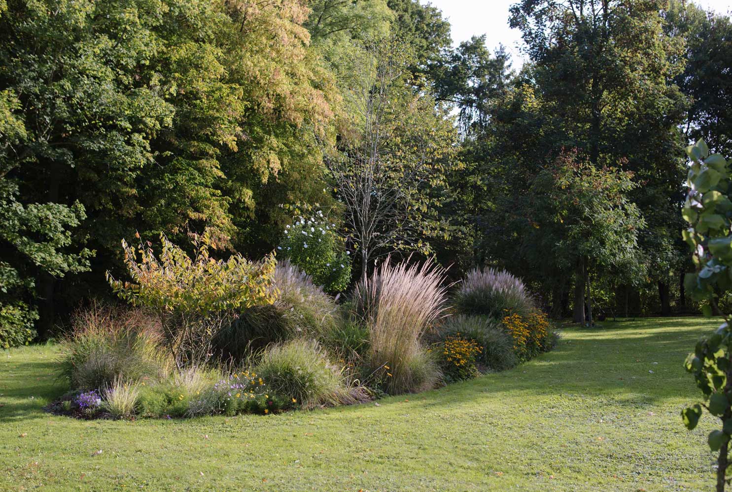 Homann-Landschaften-Garten--und-Landschaftsarchitektur