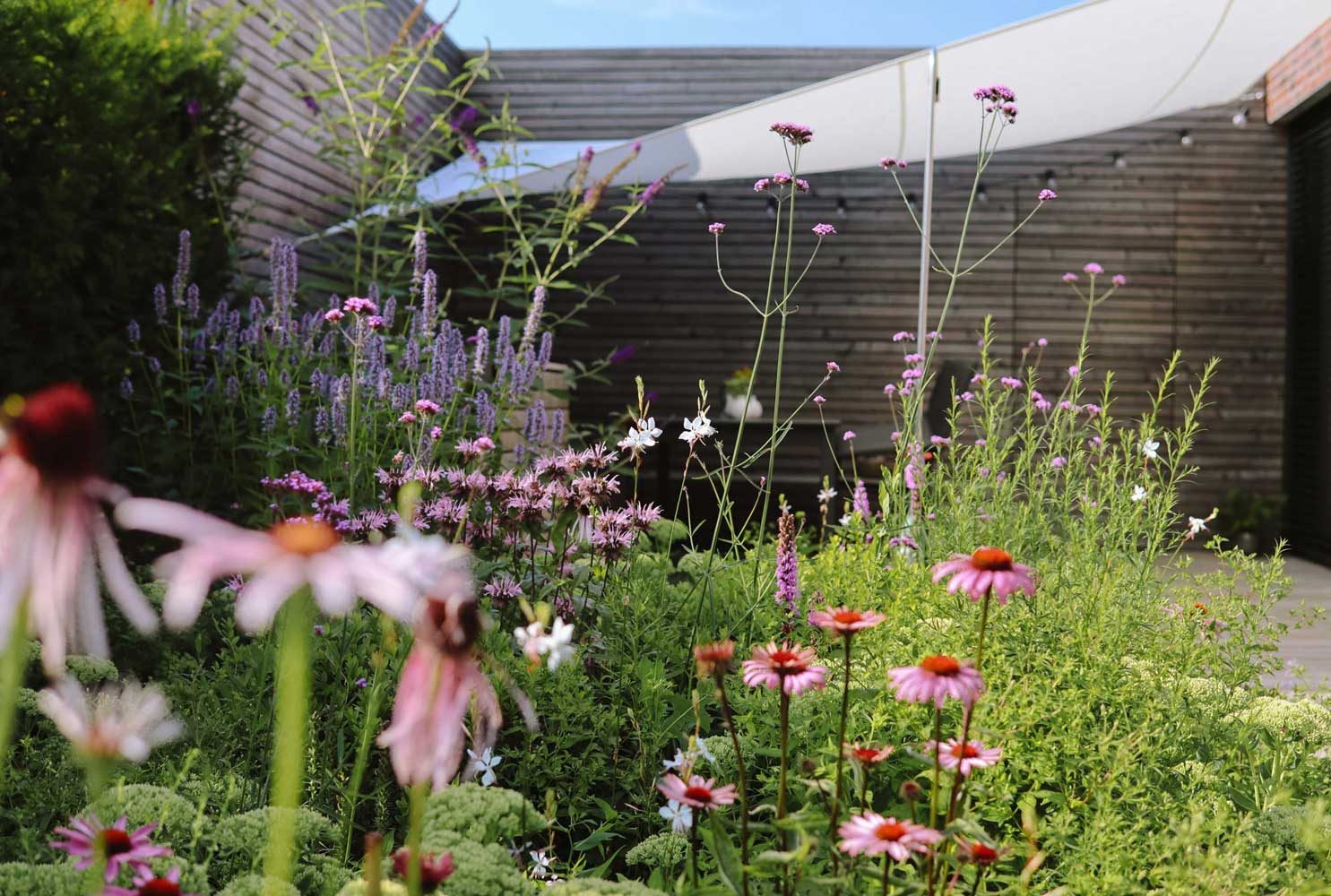 Homann-Landschaften-Garten--und-Landschaftsarchitektur